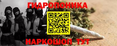молекула духа Тверь