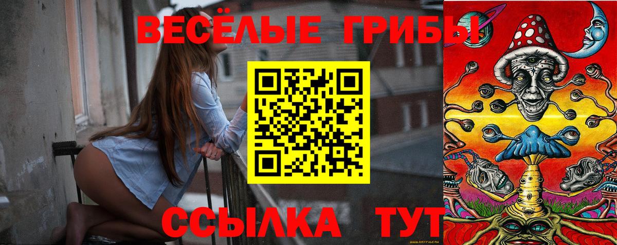 Волжск  Псилоцибиновые грибы Psilocybe  как найти наркотики  Вход с VPN 