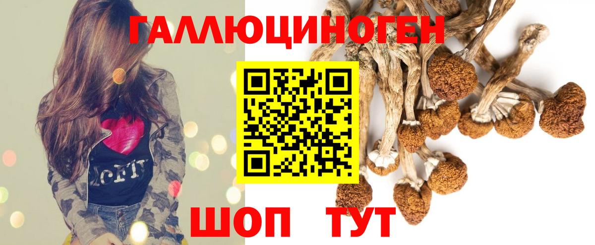 Галлюциногенные грибы мухоморы Волжск
